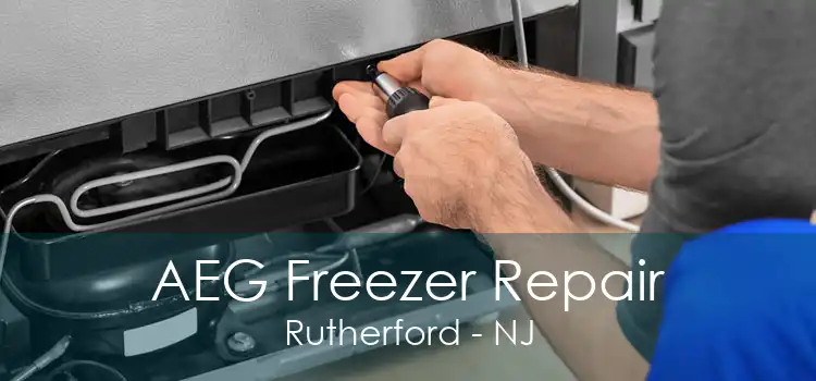 AEG Freezer Repair Rutherford - NJ