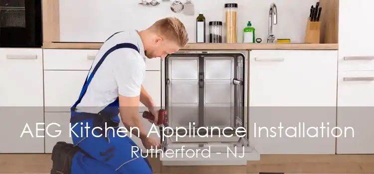 AEG Kitchen Appliance Installation Rutherford - NJ