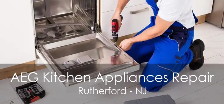 AEG Kitchen Appliances Repair Rutherford - NJ