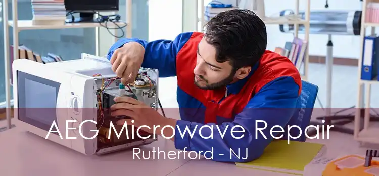 AEG Microwave Repair Rutherford - NJ