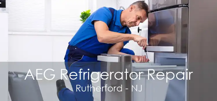 AEG Refrigerator Repair Rutherford - NJ