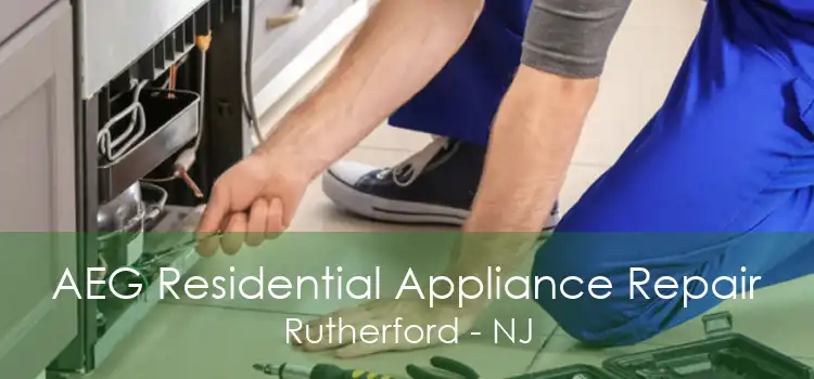 AEG Residential Appliance Repair Rutherford - NJ