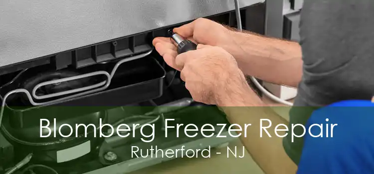 Blomberg Freezer Repair Rutherford - NJ