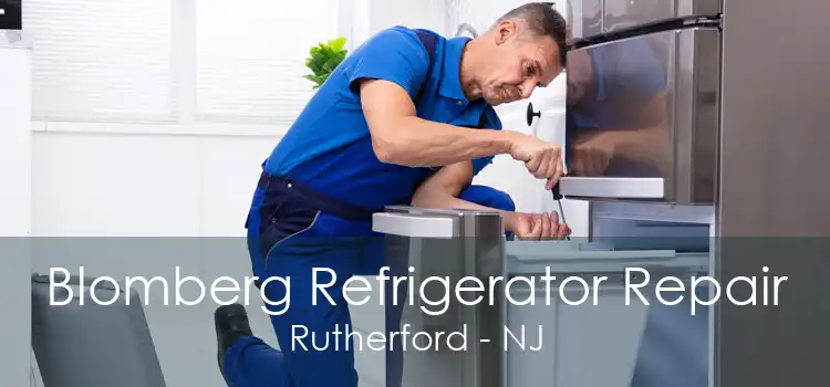 Blomberg Refrigerator Repair Rutherford - NJ