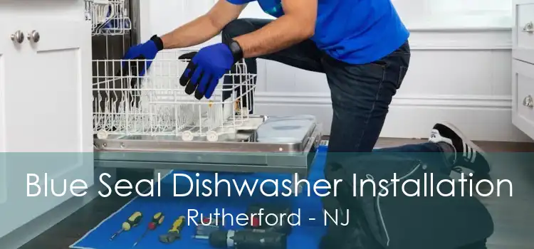 Blue Seal Dishwasher Installation Rutherford - NJ