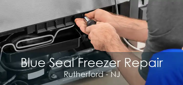 Blue Seal Freezer Repair Rutherford - NJ