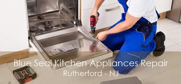 Blue Seal Kitchen Appliances Repair Rutherford - NJ