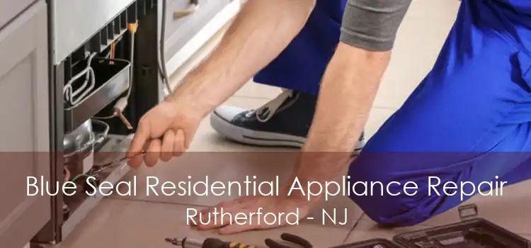 Blue Seal Residential Appliance Repair Rutherford - NJ