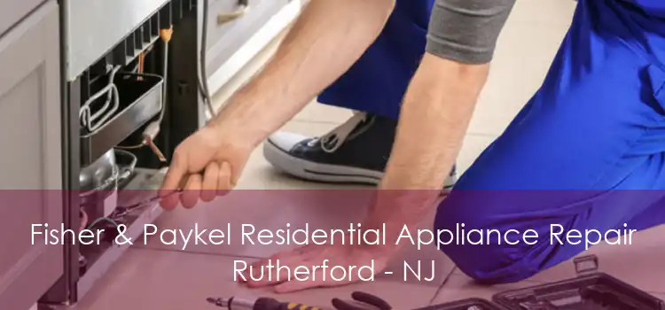 Fisher & Paykel Residential Appliance Repair Rutherford - NJ