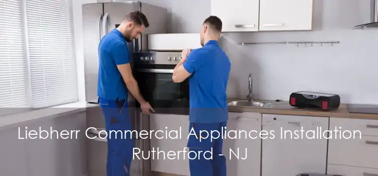 Liebherr Commercial Appliances Installation Rutherford - NJ