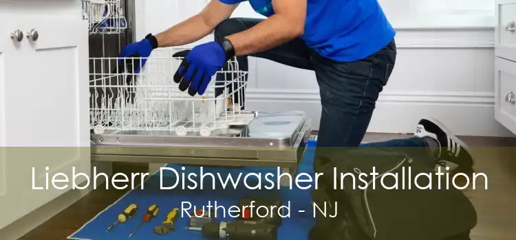 Liebherr Dishwasher Installation Rutherford - NJ