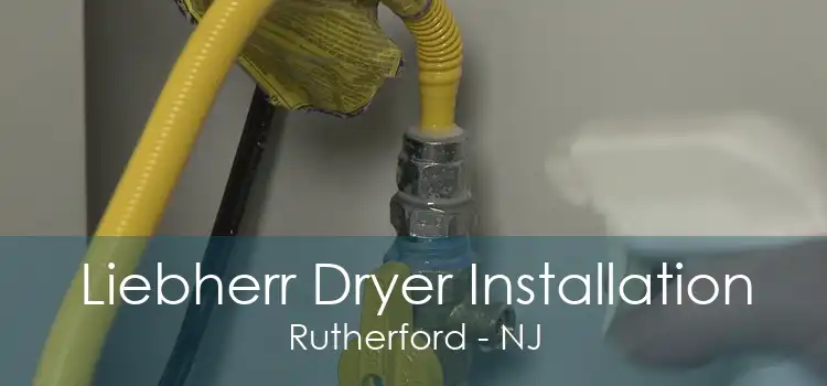 Liebherr Dryer Installation Rutherford - NJ