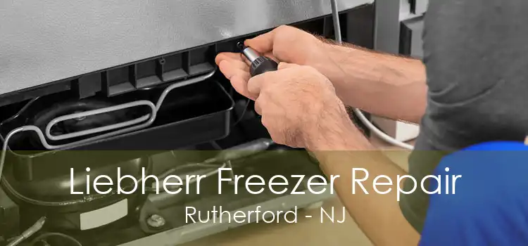 Liebherr Freezer Repair Rutherford - NJ