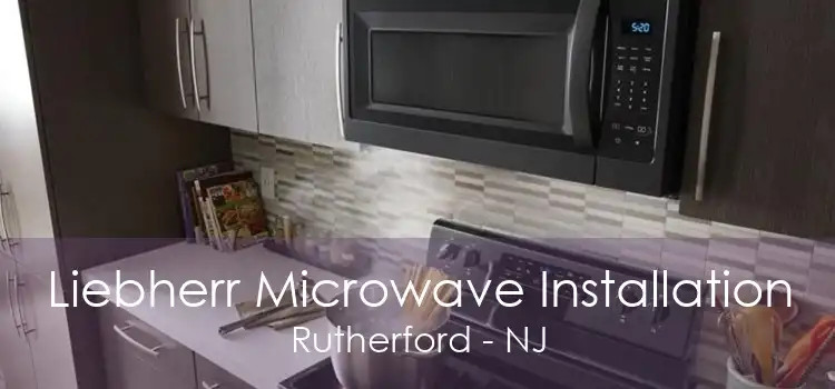 Liebherr Microwave Installation Rutherford - NJ