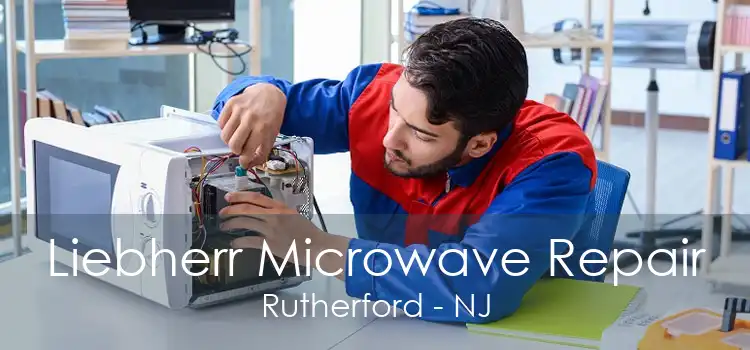 Liebherr Microwave Repair Rutherford - NJ