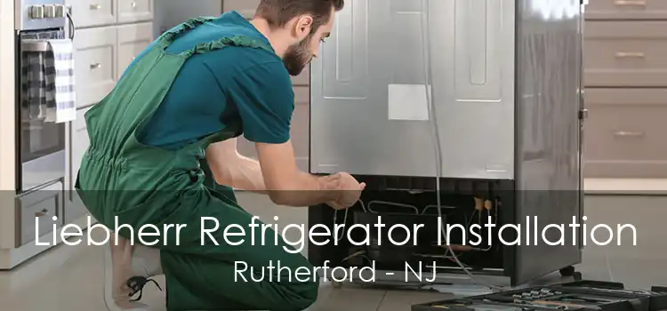 Liebherr Refrigerator Installation Rutherford - NJ