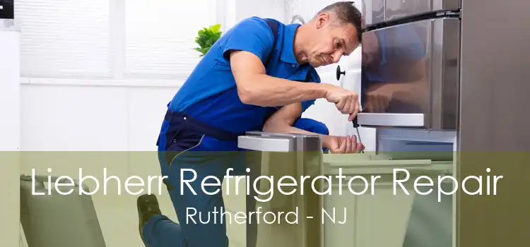 Liebherr Refrigerator Repair Rutherford - NJ