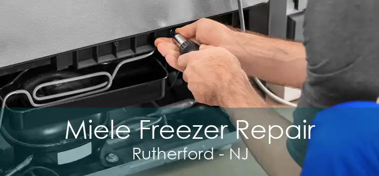 Miele Freezer Repair Rutherford - NJ