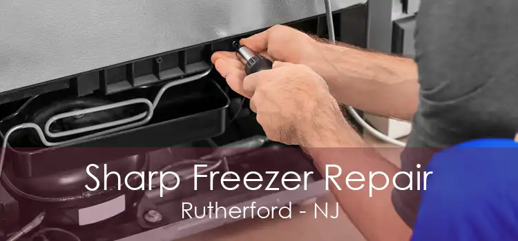 Sharp Freezer Repair Rutherford - NJ