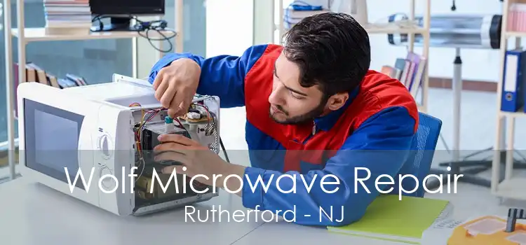 Wolf Microwave Repair Rutherford - NJ