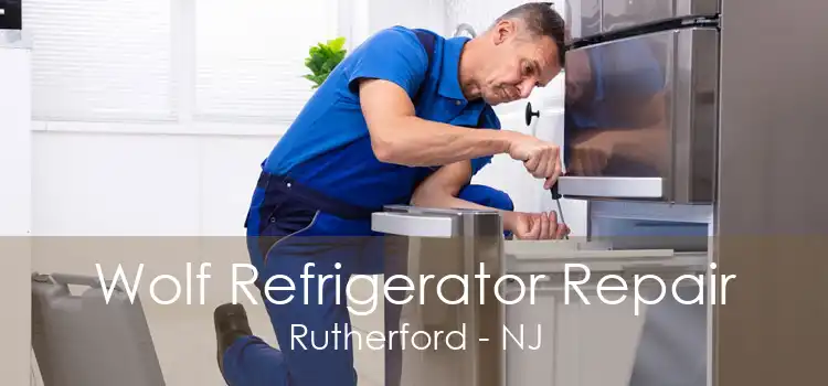 Wolf Refrigerator Repair Rutherford - NJ